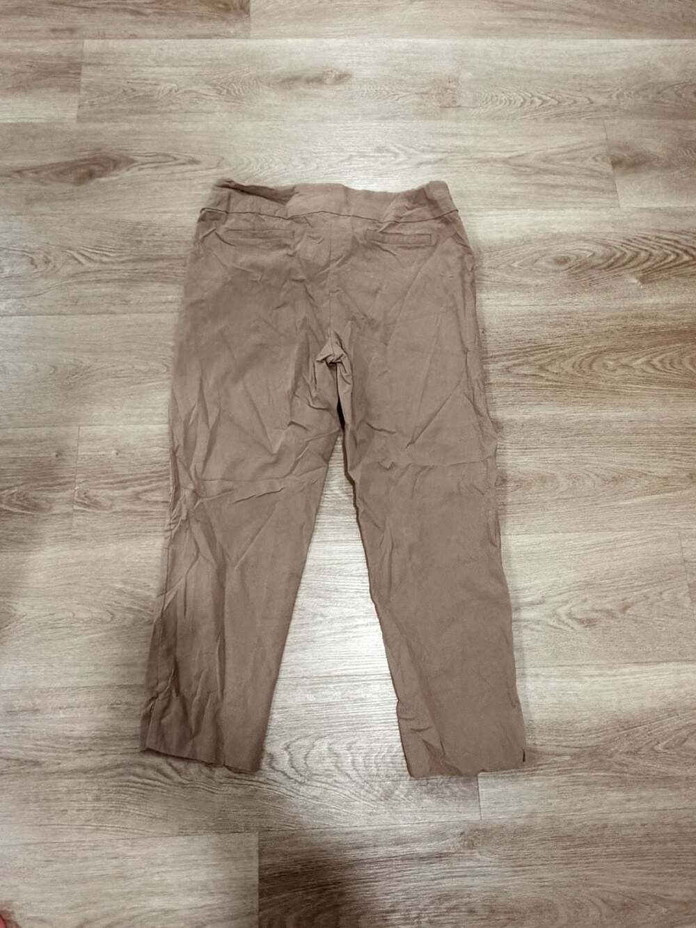 Zac & Rachel Casual Pants Size 14 Tan Pull-On Stretch